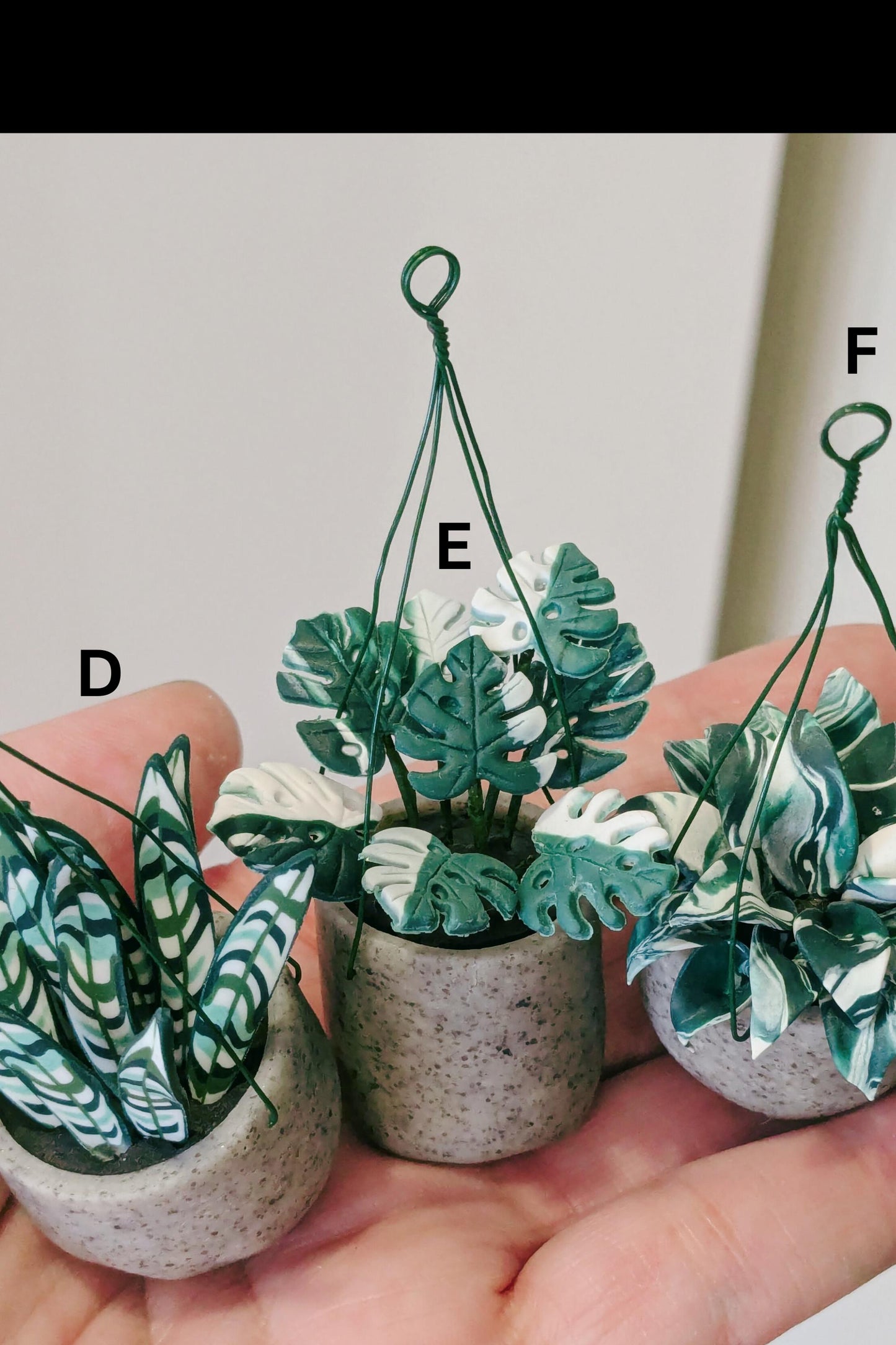 Tiny Hanging Plant Magnet, Monstera Magnet, Houseplant Decor, Plant Lover Gift, Tropical Magnet, Miniature plant magnet, Dollhouse plant