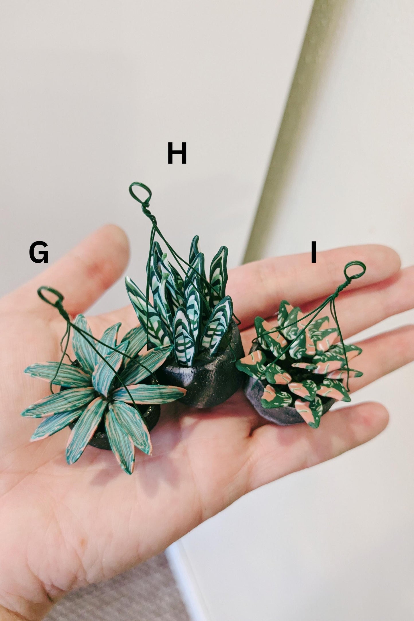 Mini Plant Magnet, Tiny Plant Magnets, Tropical Plant Magnets, Rare Plant Magnet, Plant Gifts, Plant Lover Gift, Houseplant Gift, Plant Gift