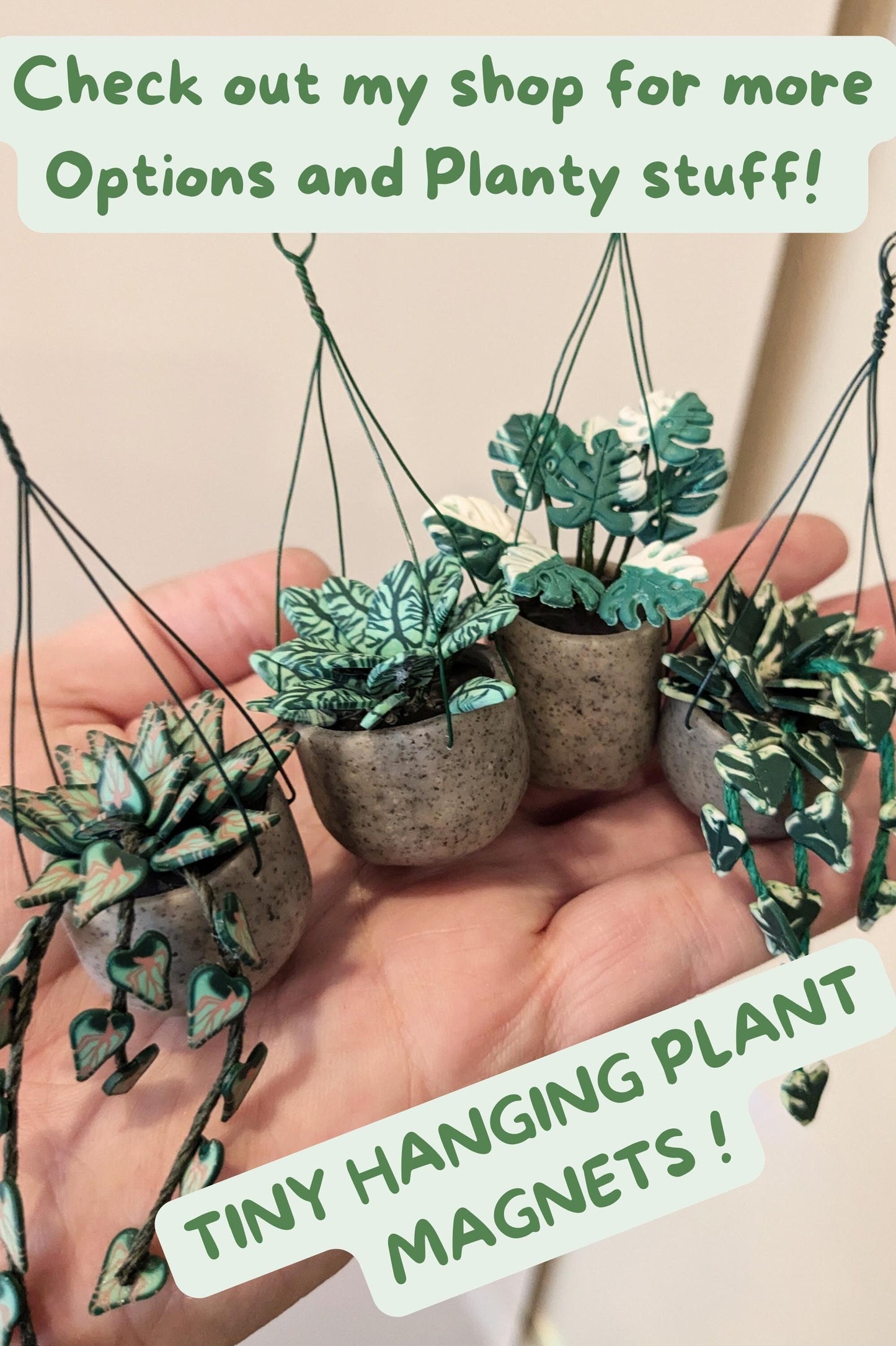 Tiny Hanging Plant Magnet, Monstera Magnet, Houseplant Decor, Plant Lover Gift, Tropical Magnet, Miniature plant magnet, Dollhouse plant