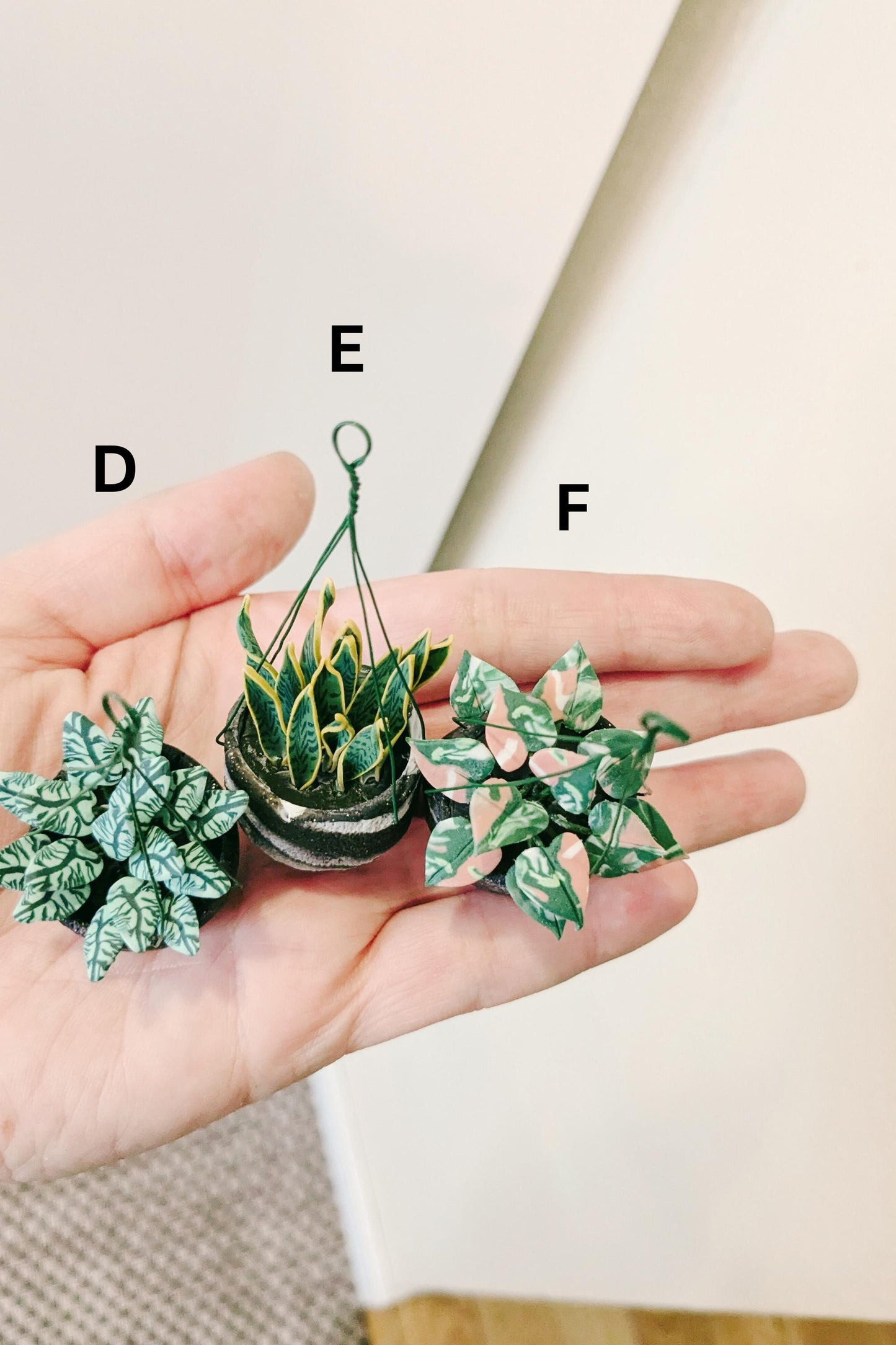Mini Plant Magnet, Tiny Plant Magnets, Tropical Plant Magnets, Rare Plant Magnet, Plant Gifts, Plant Lover Gift, Houseplant Gift, Plant Gift