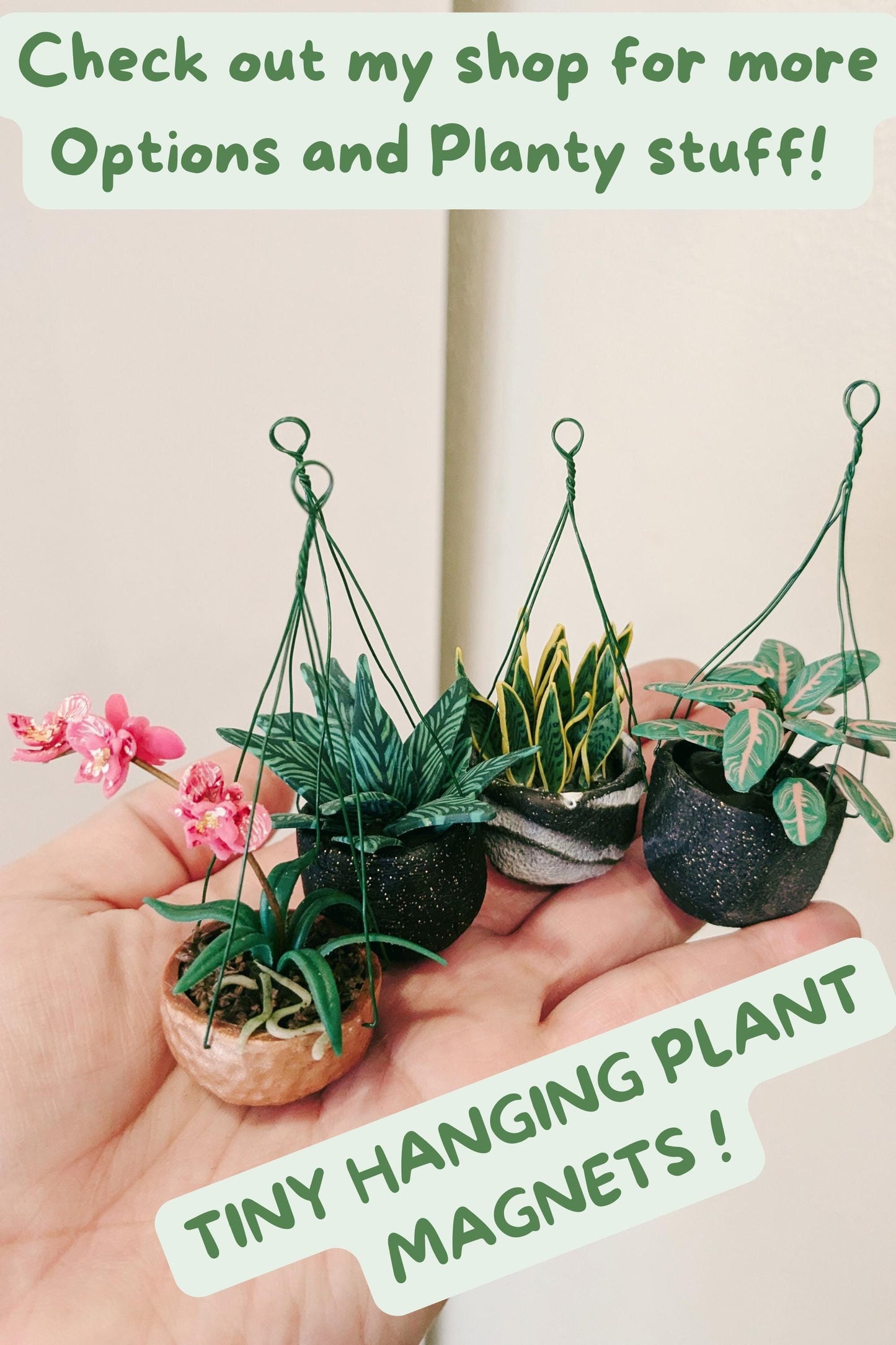 Mini Plant Magnet, Tiny Plant Magnets, Tropical Plant Magnets, Rare Plant Magnet, Plant Gifts, Plant Lover Gift, Houseplant Gift, Plant Gift