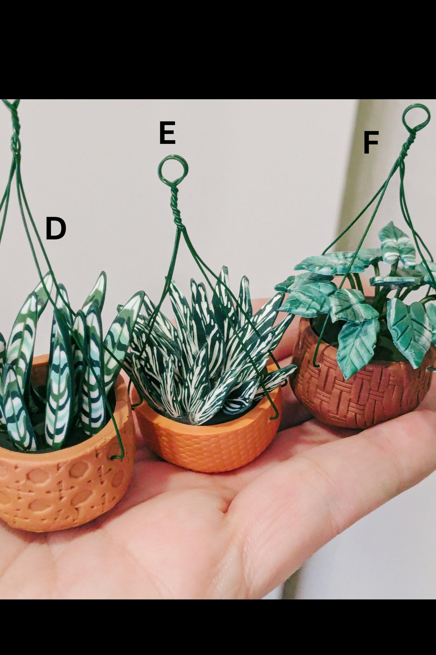 Miniature Plant Magnet, Tiny Hanging Plant, Plant Magnet,Plant Fridge Magnet,Succulent Magnets,Miniature Gift, Houseplant Gift,Fridge Magnet