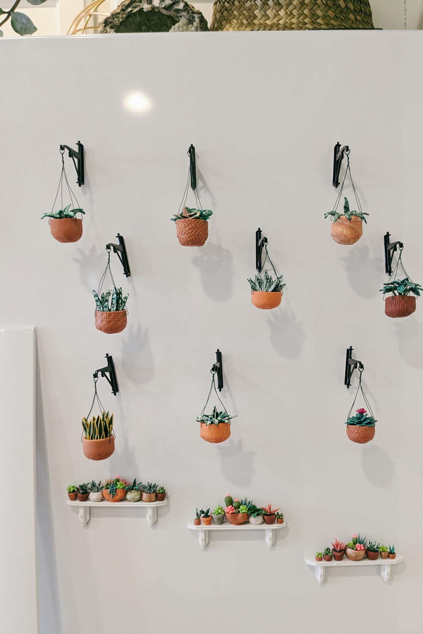 Miniature Plant Magnet, Tiny Hanging Plant, Plant Magnet,Plant Fridge Magnet,Succulent Magnets,Miniature Gift, Houseplant Gift,Fridge Magnet