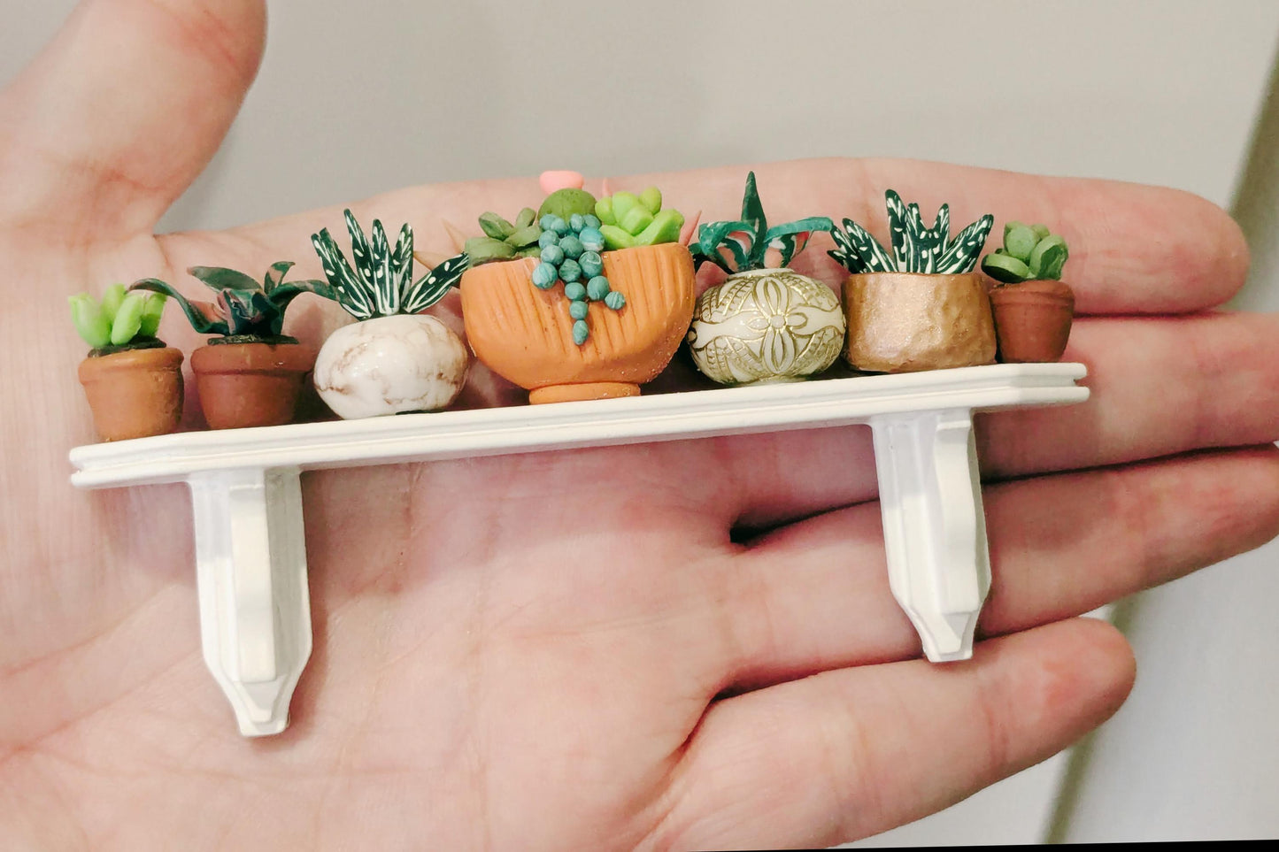 Miniature Plant Magnet, Tiny Hanging Plant, Plant Magnet,Plant Fridge Magnet,Succulent Magnets,Miniature Gift, Houseplant Gift,Fridge Magnet