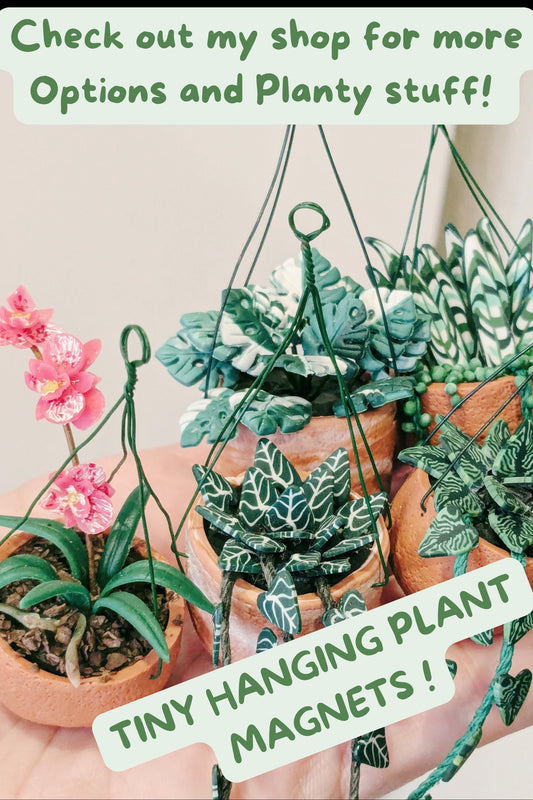 Mini Plant Magnet, Tiny Plant Magnet , Plant Decor, Hanging Planter Magnet, Indoor Plant Life, Houseplant Lover Gift, Plant Lover Gift