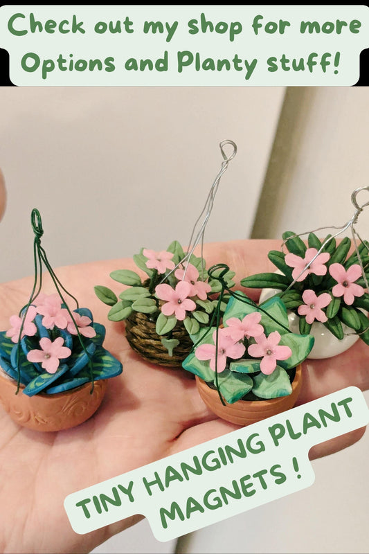 Tiny Plant Magnet, Plant Magnets, Hanging Plant Decor, Funny Plant Gift, Plant Lover Gift, Indoor Plant Life, Flower Magnet , Floral Magnet