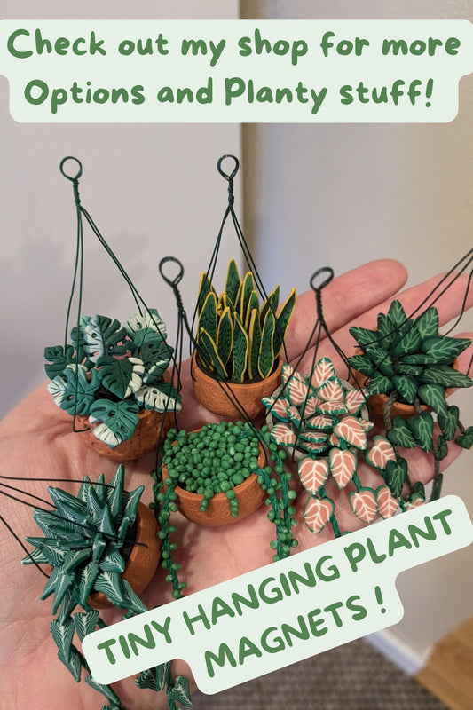 Tiny Hanging Plant Magnet, Monstera Magnet, Houseplant Decor, Plant Lover Gift, Tropical Magnet, Miniature plant magnet, Dollhouse plant