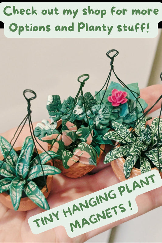 Miniature Plant Magnet, Tiny Hanging Plant, Plant Magnet,Plant Fridge Magnet,Succulent Magnets,Miniature Gift, Houseplant Gift,Fridge Magnet